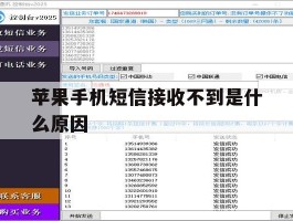 苹果手机短信接收不到是什么原因