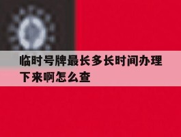 临时号牌最长多长时间办理下来啊怎么查