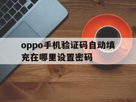 oppo手机验证码自动填充在哪里设置密码