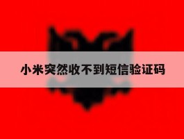 小米突然收不到短信验证码