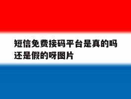 短信免费接码平台是真的吗还是假的呀图片的简单介绍