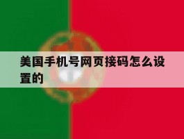 美国手机号网页接码怎么设置的