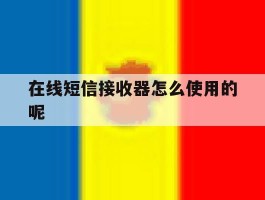 在线短信接收器怎么使用的呢