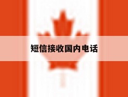 短信接收国内电话
