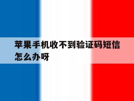苹果手机收不到验证码短信怎么办呀