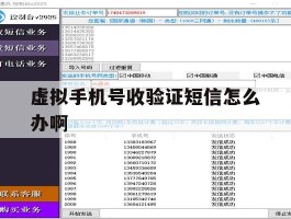 虚拟手机号收验证短信怎么办啊