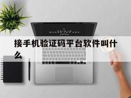 接手机验证码平台软件叫什么