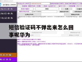 短信验证码不弹出来怎么回事呢华为