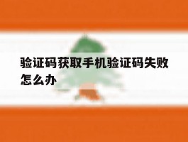 验证码获取手机验证码失败怎么办
