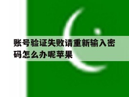 账号验证失败请重新输入密码怎么办呢苹果