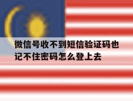 微信号收不到短信验证码也记不住密码怎么登上去的简单介绍