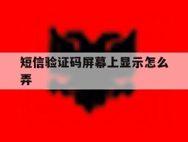 短信验证码屏幕上显示怎么弄