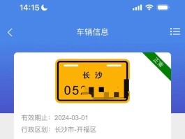 临时号牌到期了能续办吗现在怎么办