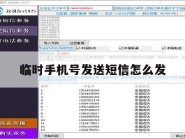 临时手机号发送短信怎么发
