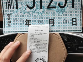 临时号牌和正式号牌一样吗怎么办啊图片