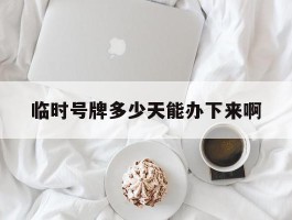 临时号牌多少天能办下来啊