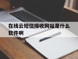 在线云短信接收网站是什么软件啊