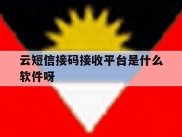 关于云短信接码接收平台是什么软件呀的信息