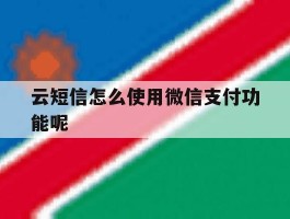 云短信怎么使用微信支付功能呢
