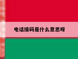 电话接码是什么意思呀