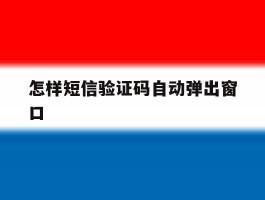 怎样短信验证码自动弹出窗口