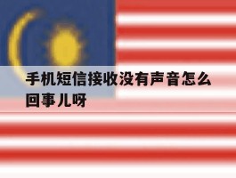 手机短信接收没有声音怎么回事儿呀