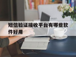 短信验证接收平台有哪些软件好用