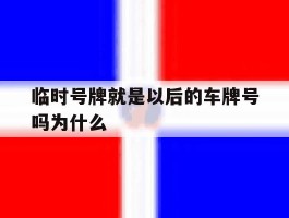 临时号牌就是以后的车牌号吗为什么