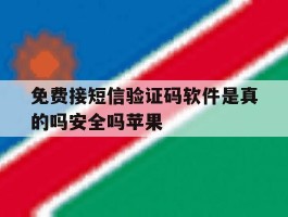 免费接短信验证码软件是真的吗安全吗苹果