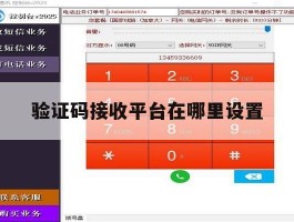 验证码接收平台在哪里设置