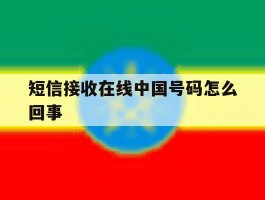 短信接收在线中国号码怎么回事