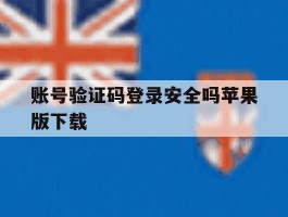 账号验证码登录安全吗苹果版下载