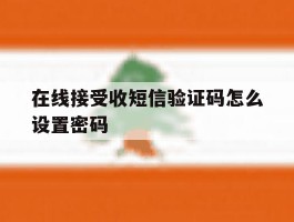 在线接受收短信验证码怎么设置密码